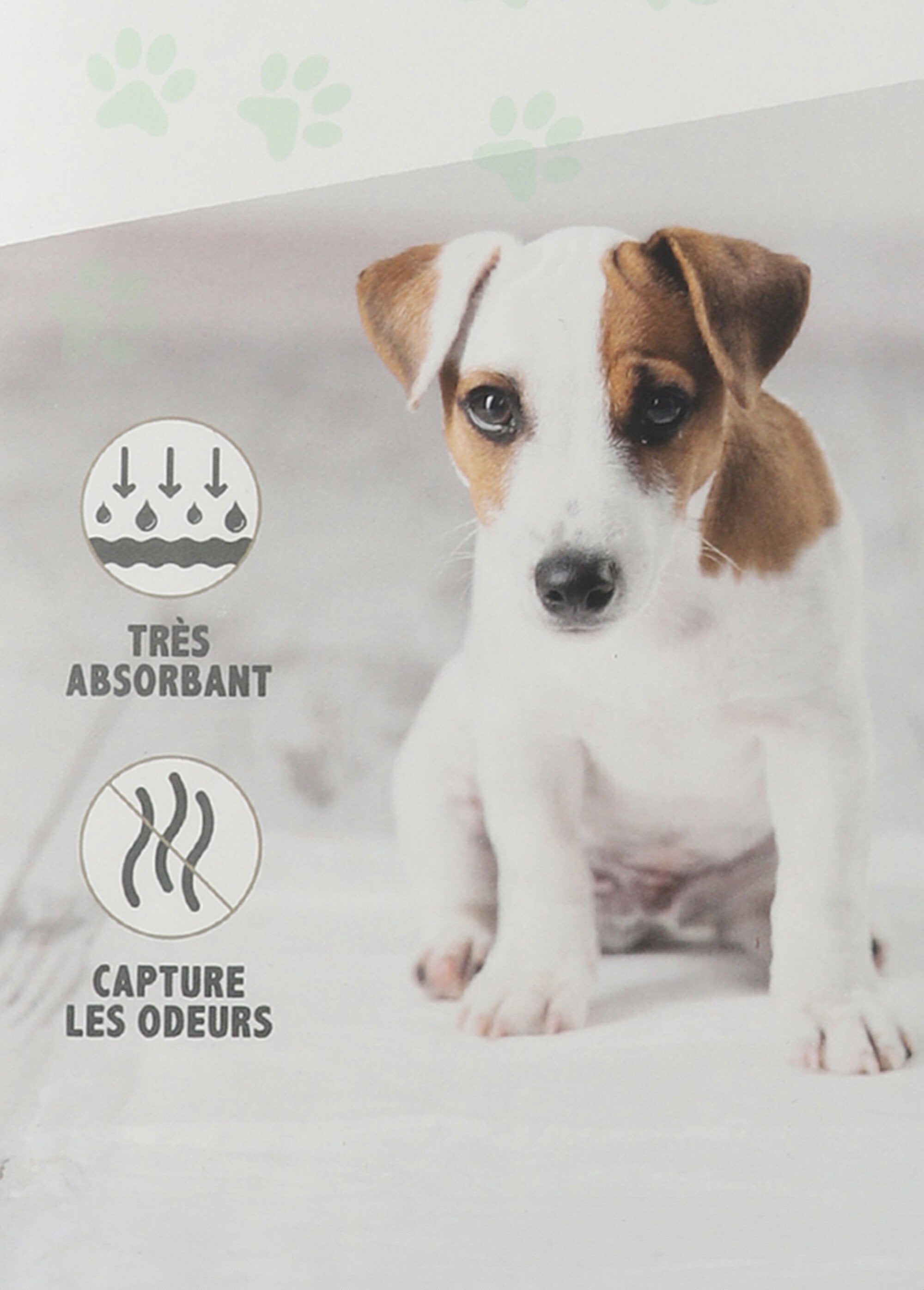 Toilettraining_voor_honden_Bleu_ciel_DE1_slim