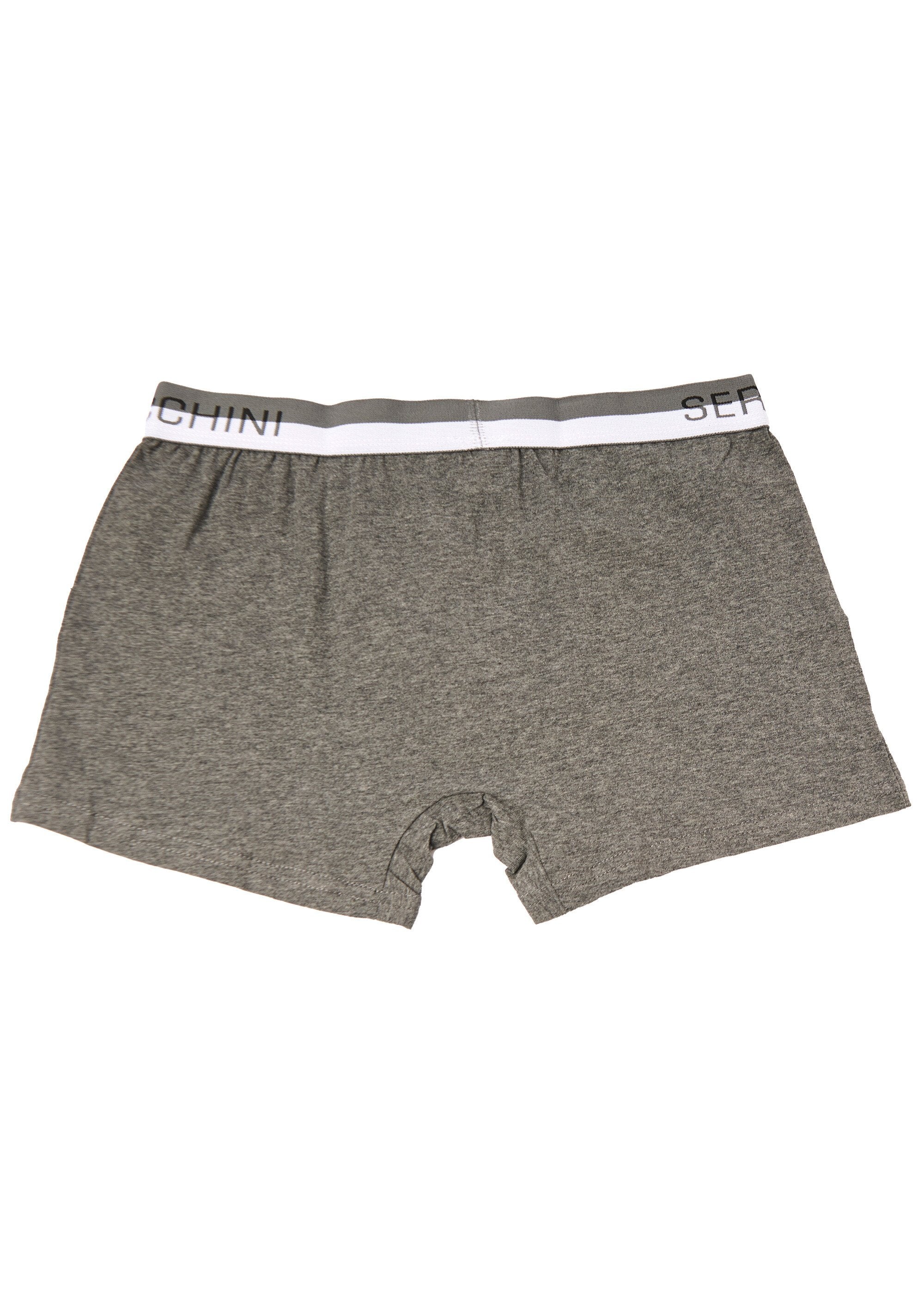 Effen_boxershort_met_riem_en_logo_Gris_DO1_slim