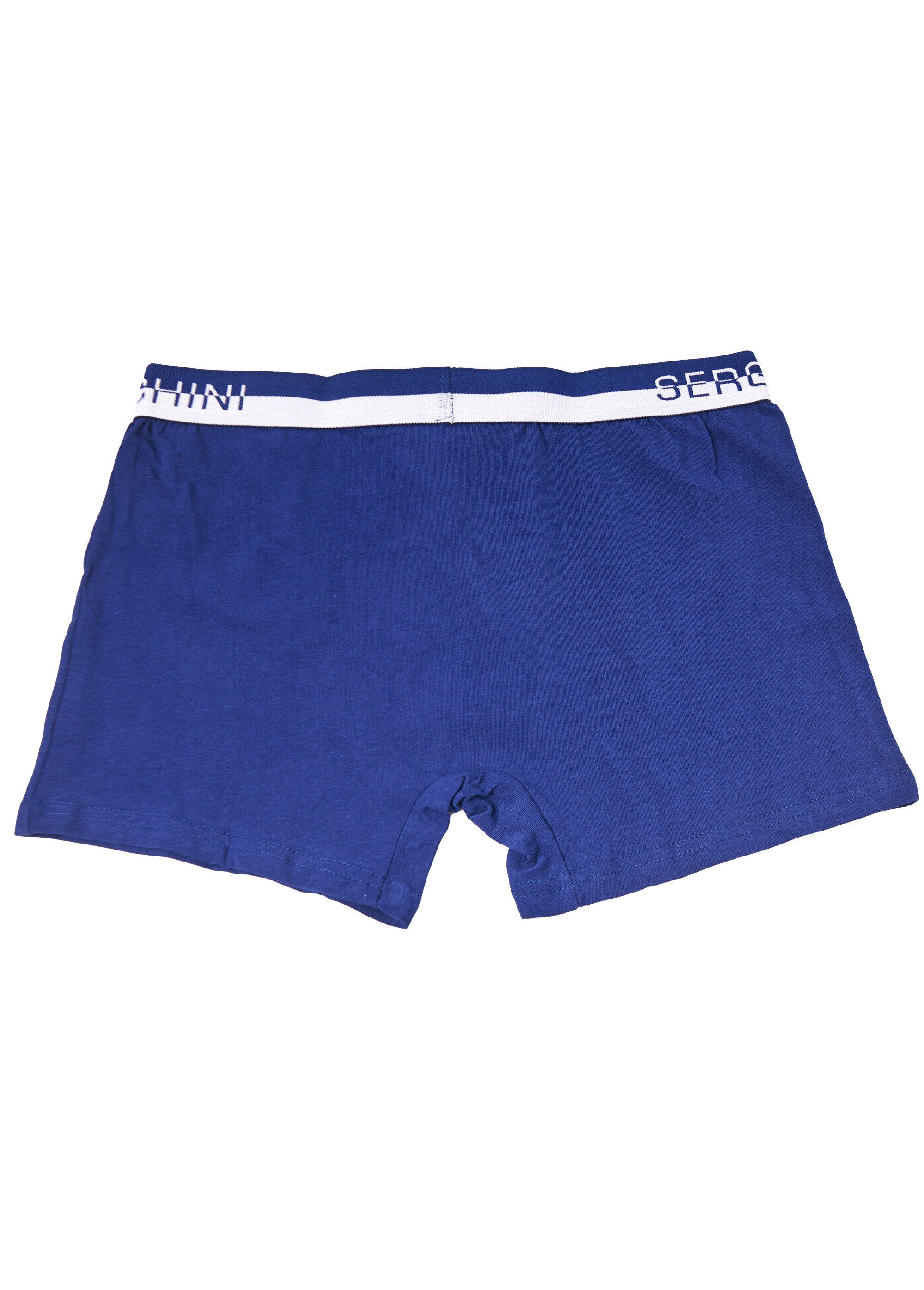 Effen_boxershort_met_riem_en_logo_Bleu_DO1_slim