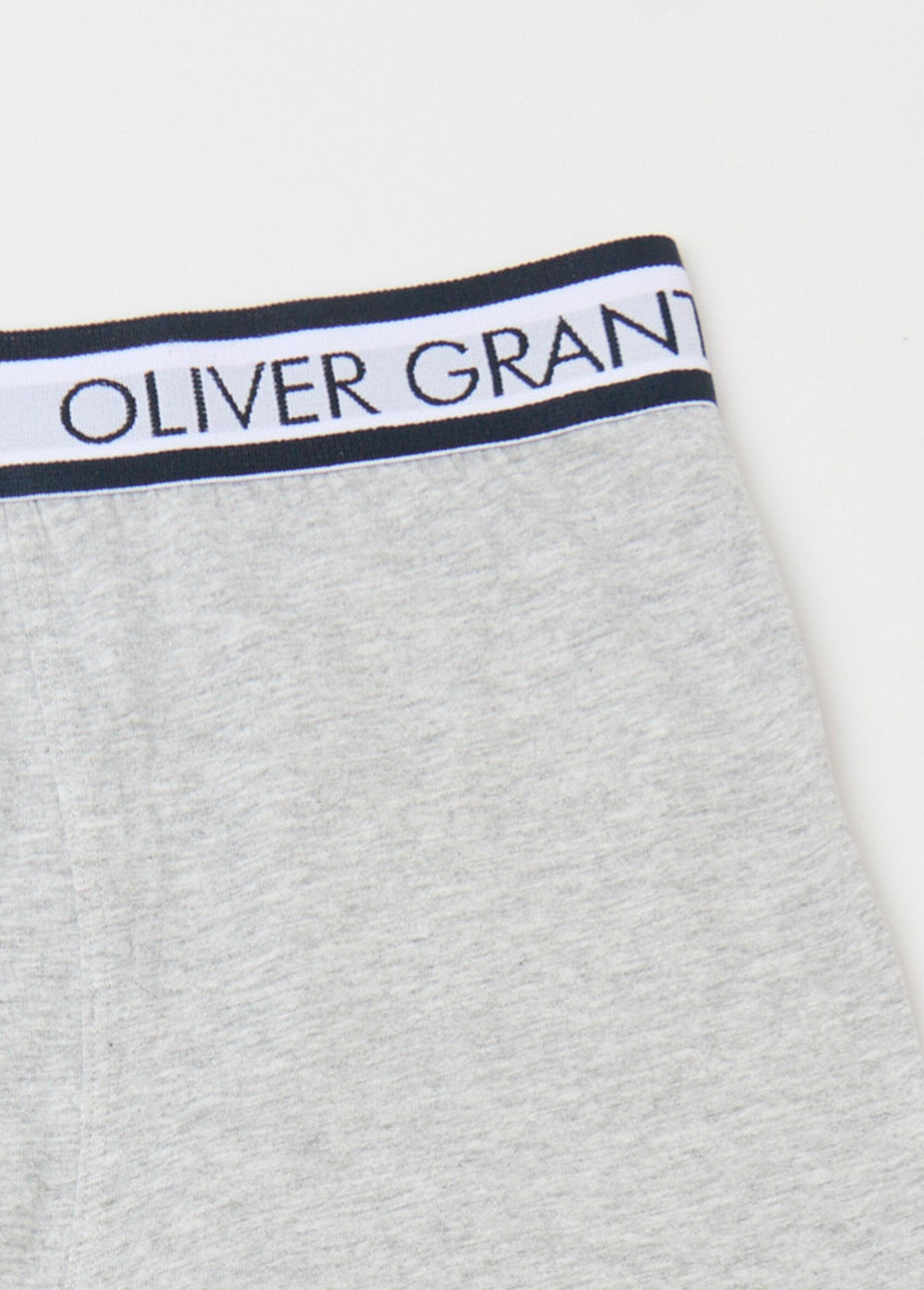 Effen_boxershort_met_tailleband_met_logo_Gris_DE1_slim