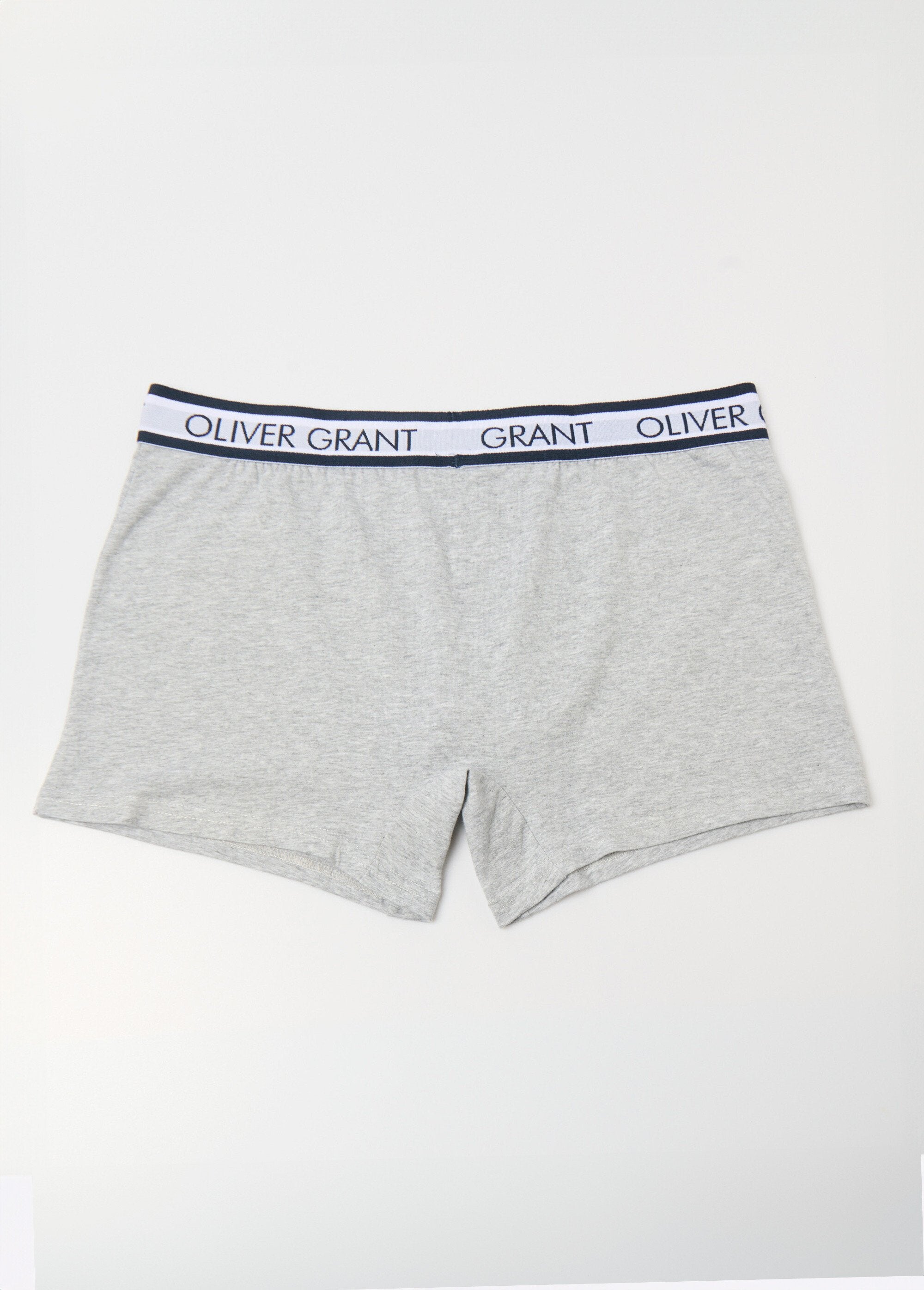 Effen_boxershort_met_tailleband_met_logo_Gris_DO1_slim