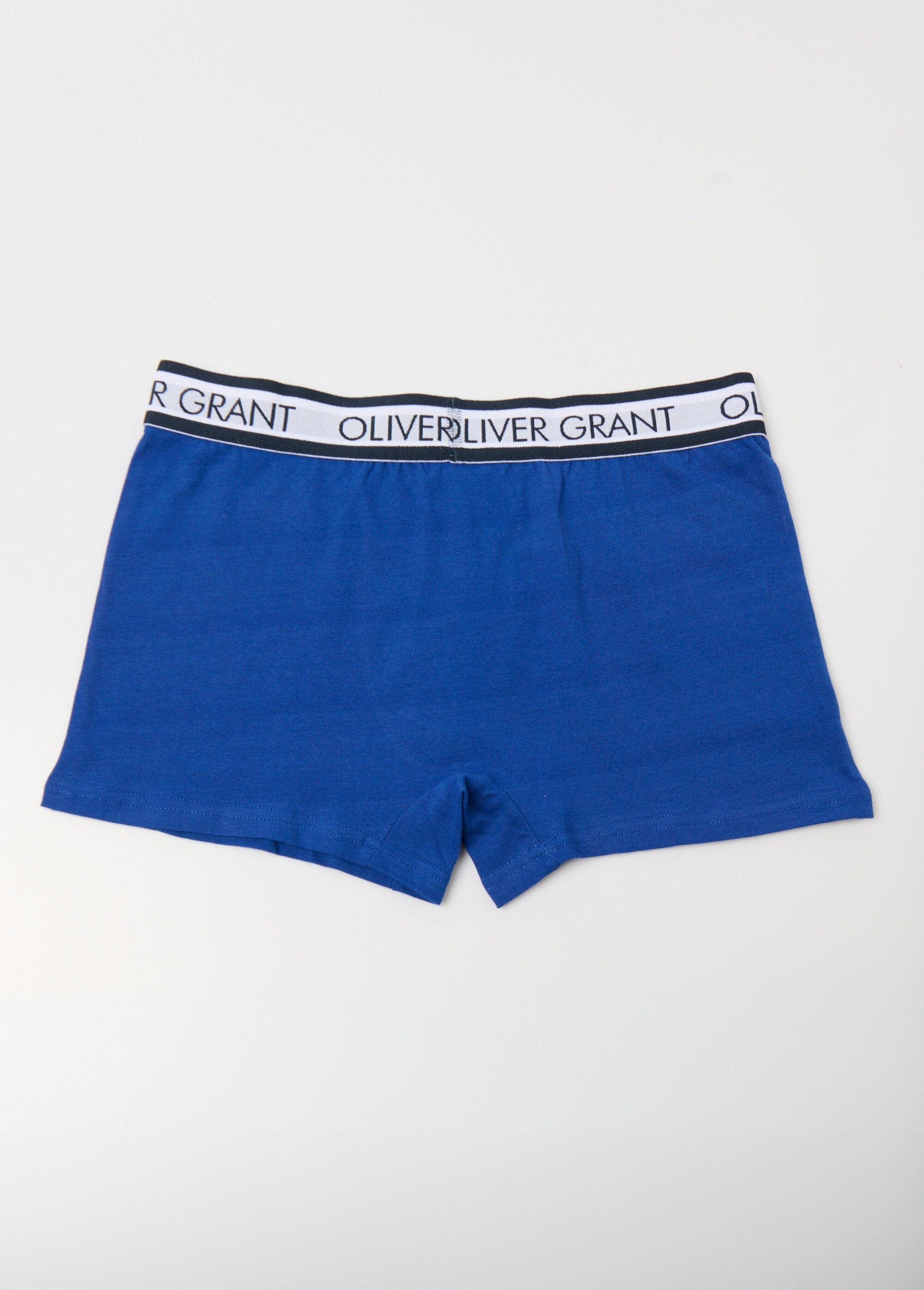Effen_boxershort_met_tailleband_met_logo_Bleu_DO1_slim