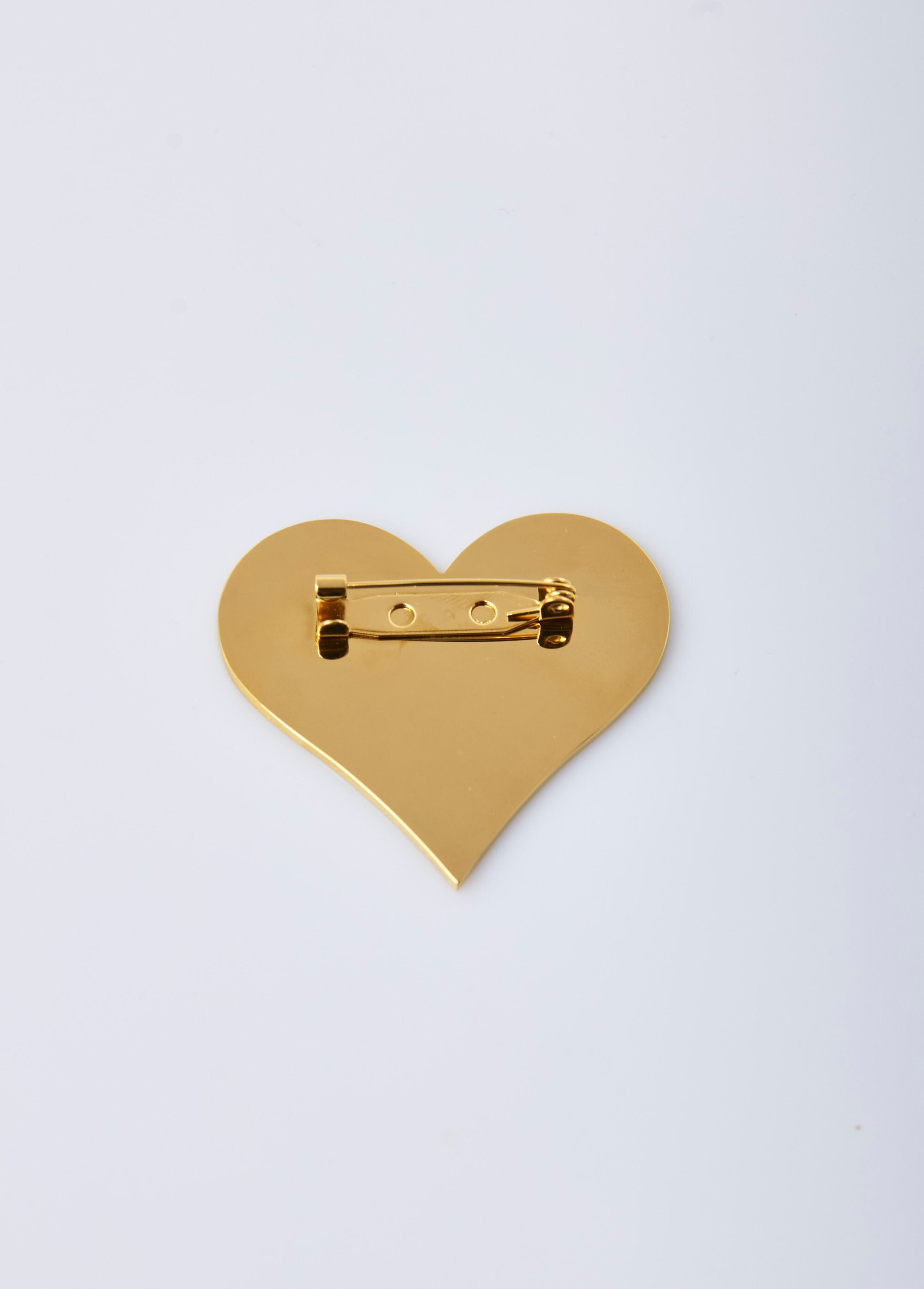 Roestvrij_stalen_broche_cur_Dore_DO1_slim