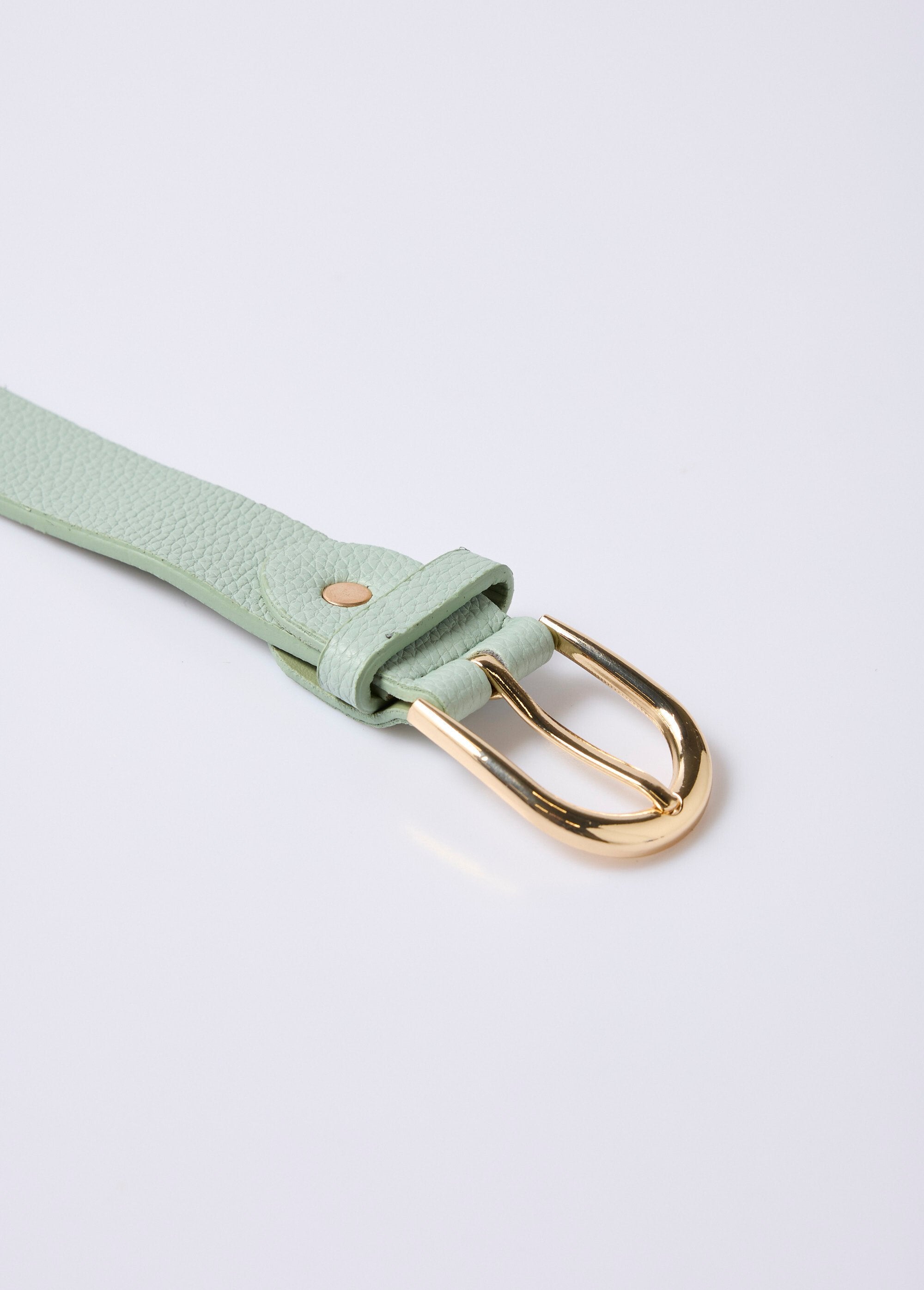Imitatieleren_riem_met_metalen_gesp_Vert_d_eau_DE1_slim