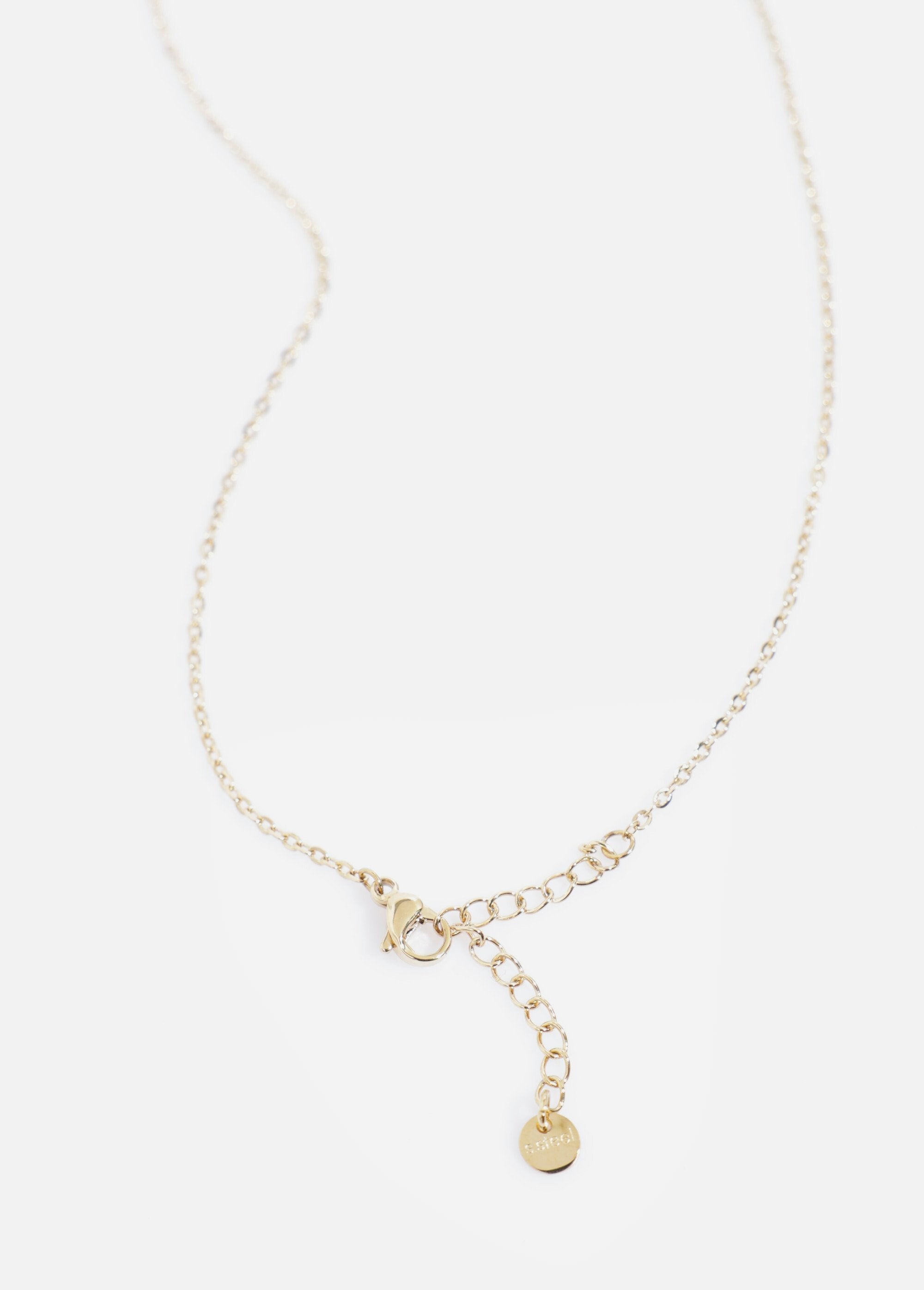 Hanger_van_roestvrij_staal_Dore_DE2_slim