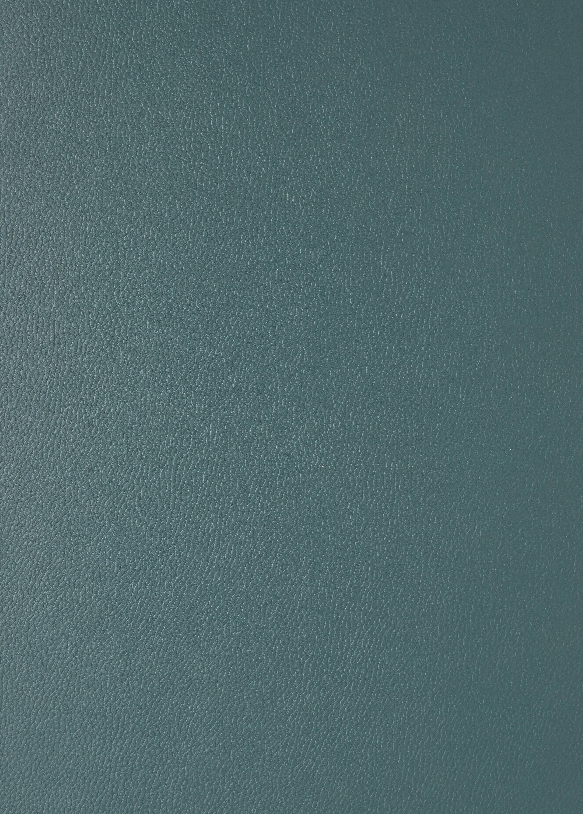 Effen_coupon_van_imitatieleer_Sapin_DE1_slim