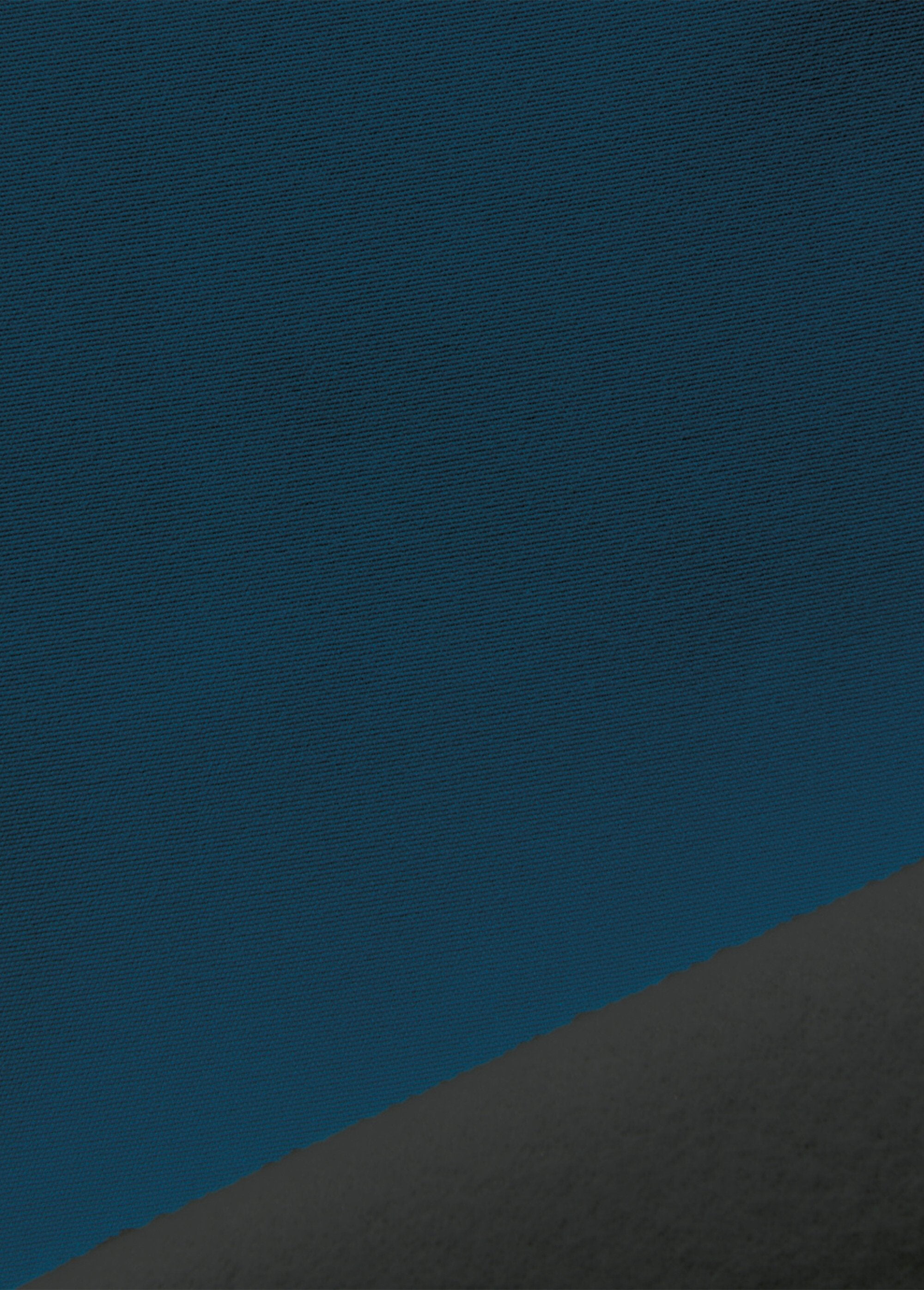 Sterk_verduisterend_en_isolerend_gordijn_met_oogjes_Bleu_paon_DE1_slim