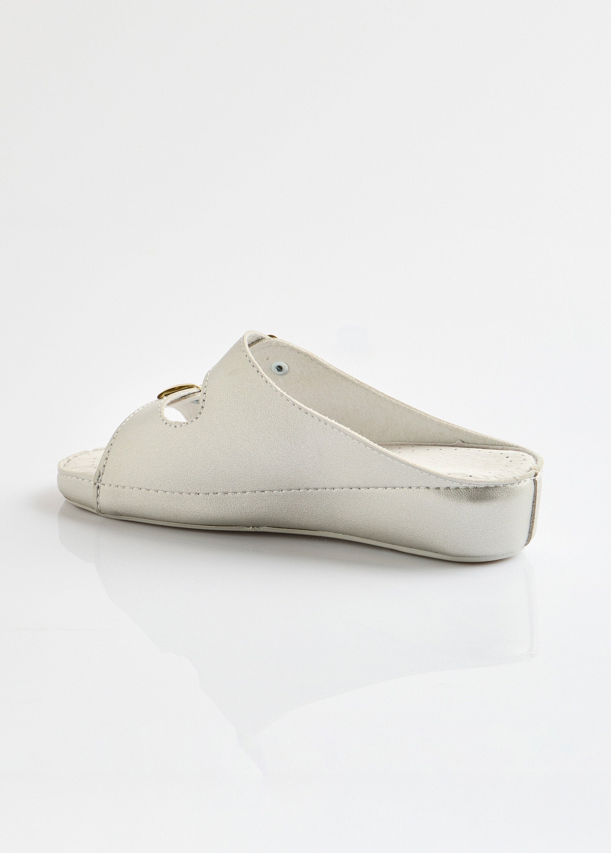 Muiltjes_met_grote_breedte_ZILVER_DO1_slim