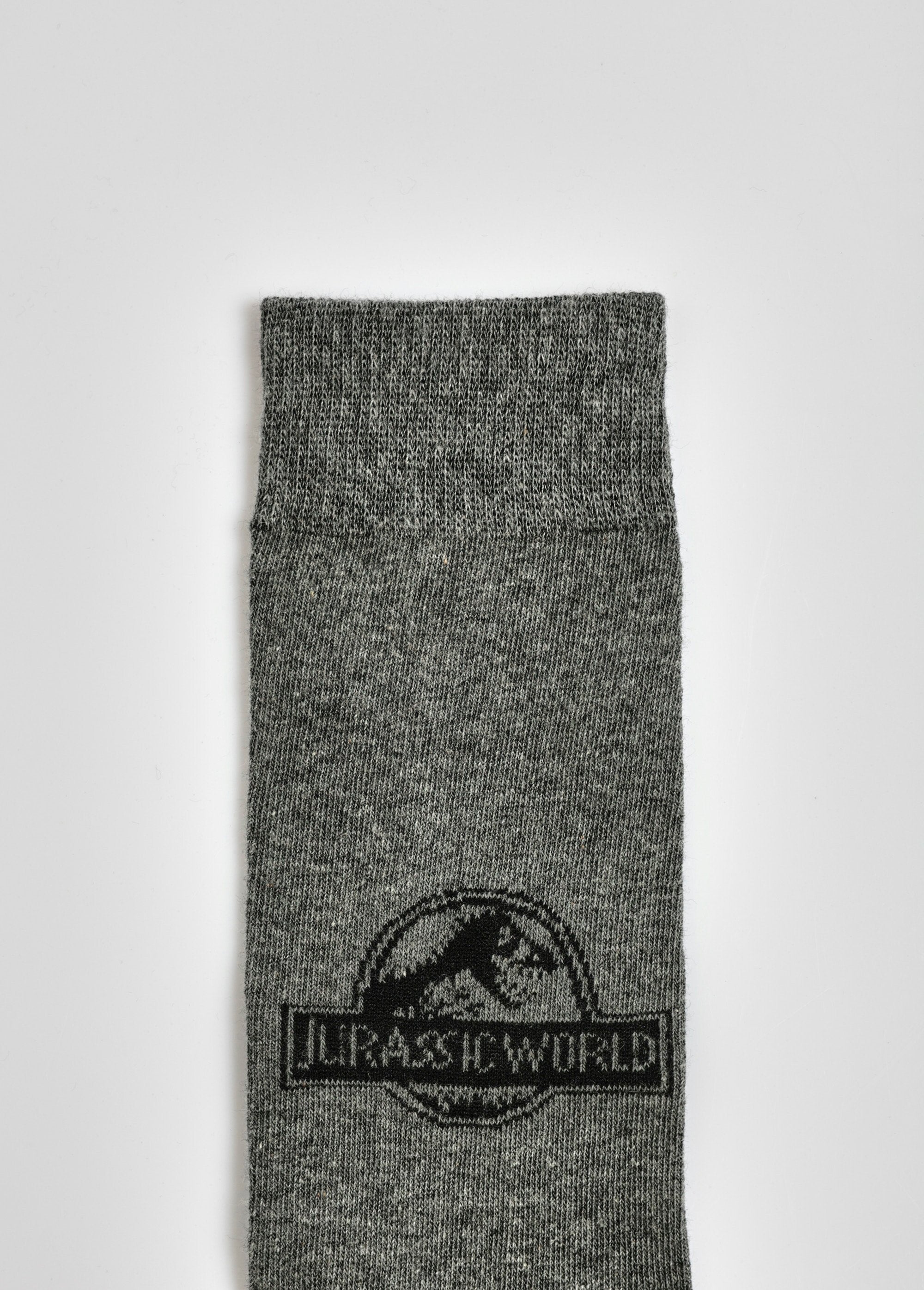 Paar_sokken,_Jurassic_World_Gris_fonce_DE2_slim