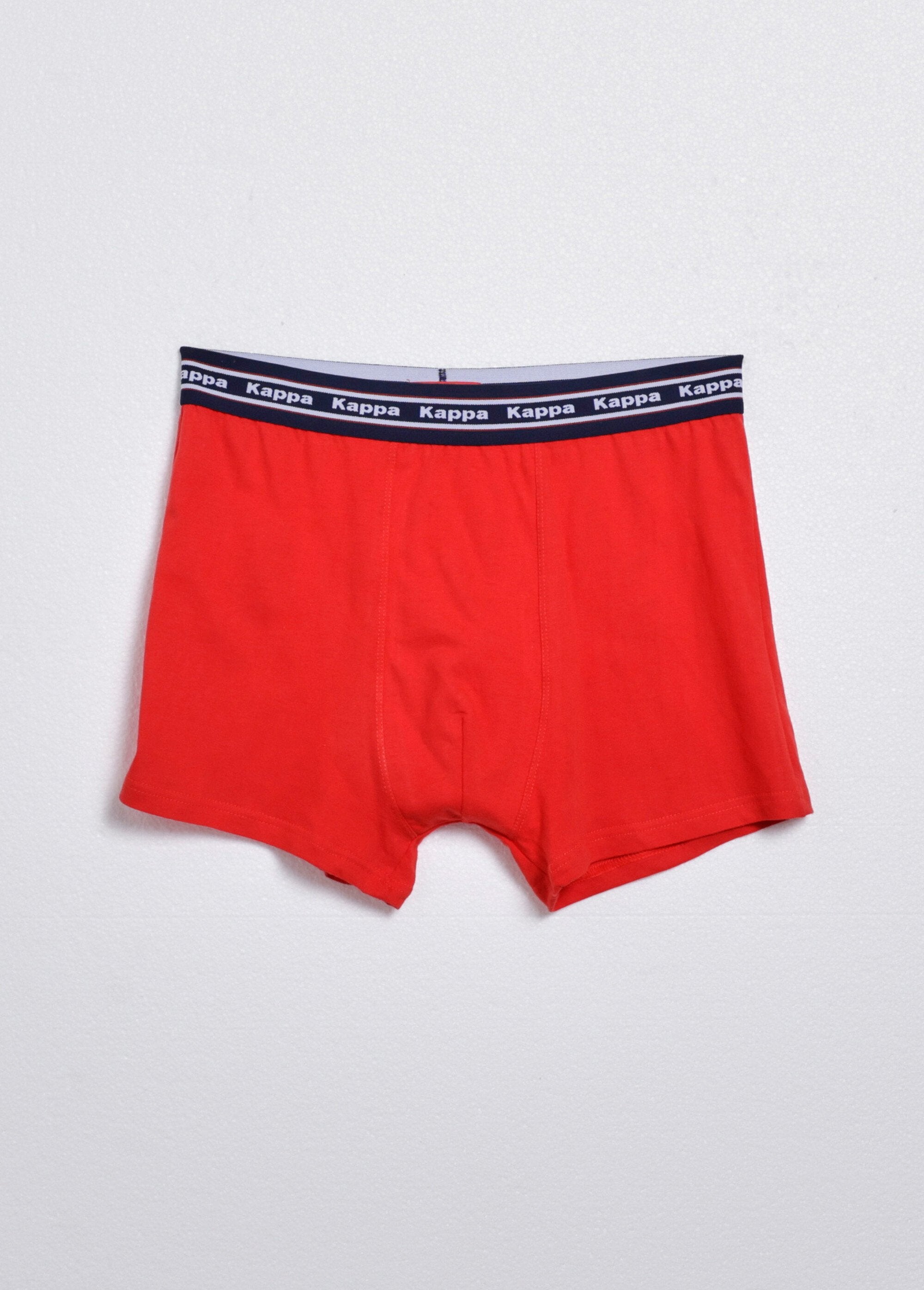 Assortiment_boxershorts_van_zuiver_katoen_Assortis_gris_DE1_slim