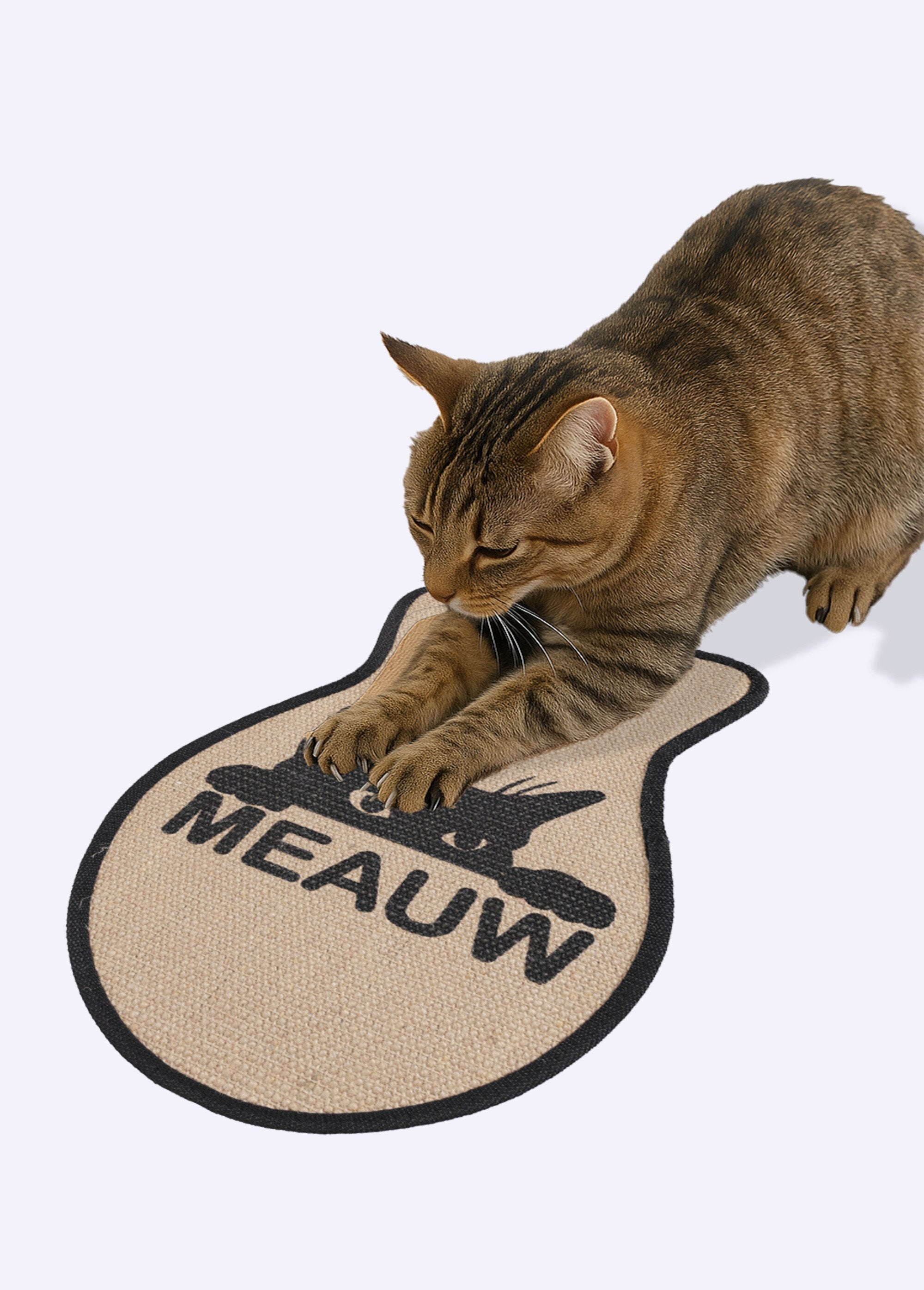 Krabpaal_met_mooie_decoratie_Chat_meaou_FA1_slim