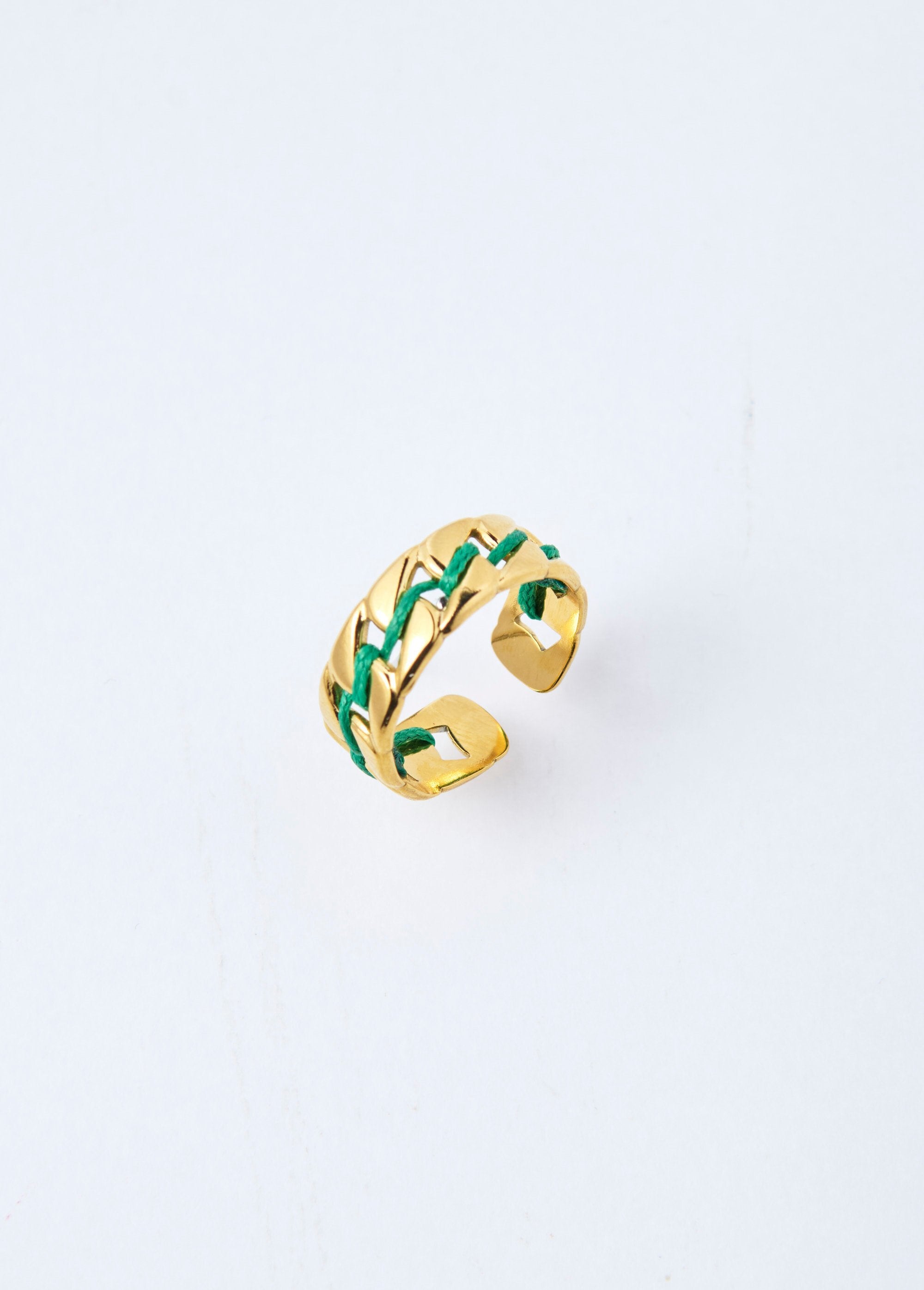 Roestvrijstalen_ring_met_gekleurde_schakel_Dore_et_vert_FA1_slim