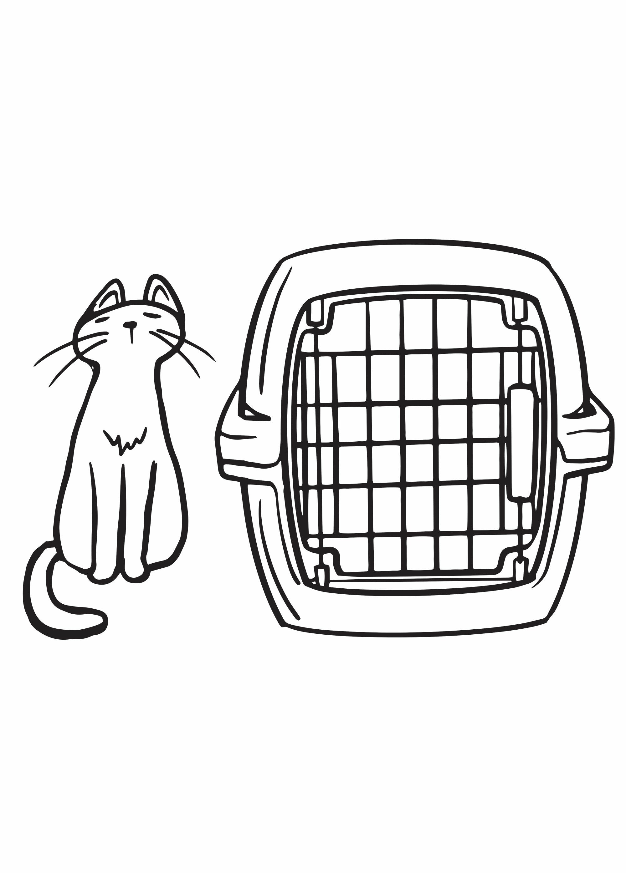 Transportbox_voor_dieren_6_kg_Bleu_DE1_slim