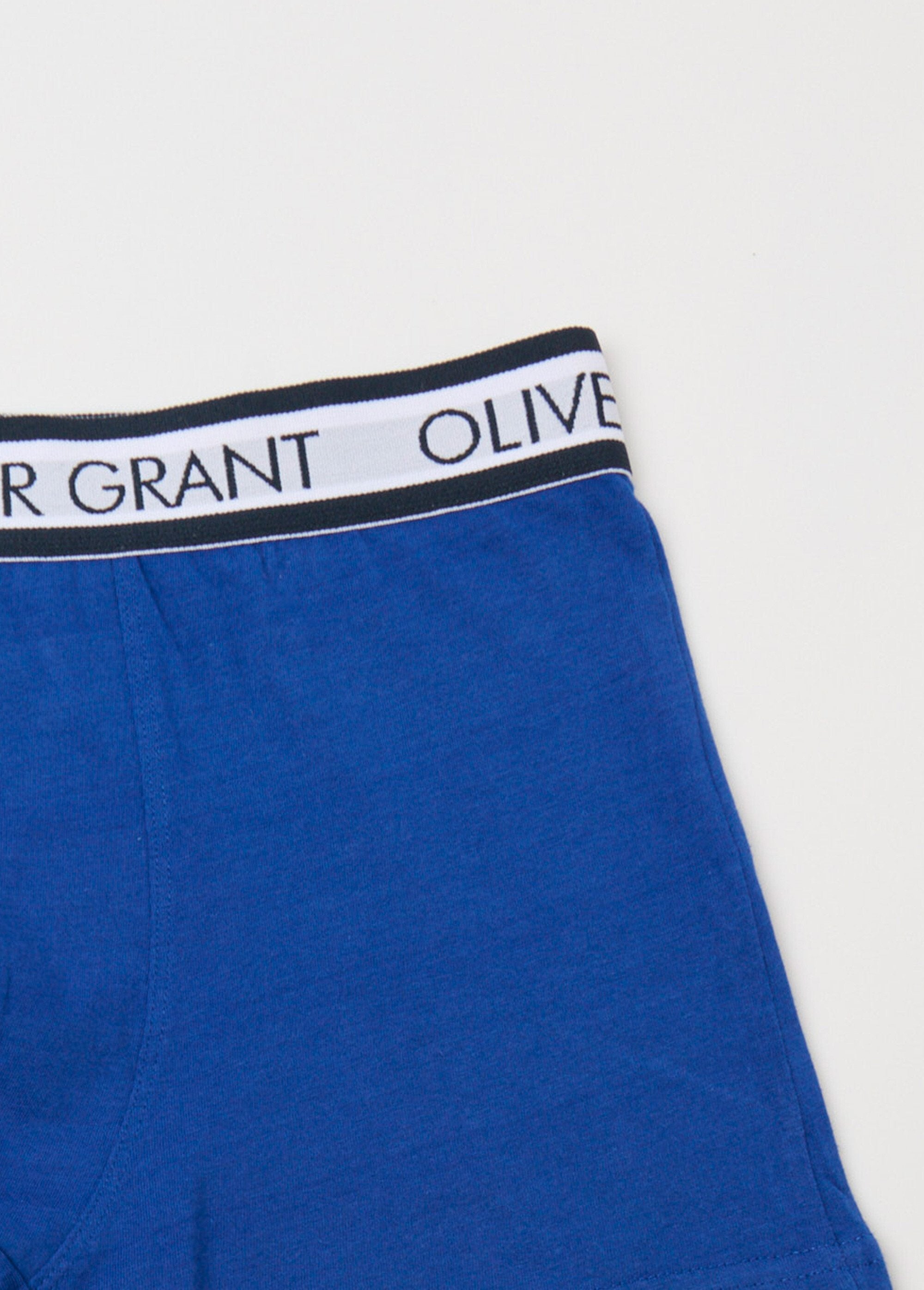 Effen_boxershort_met_tailleband_met_logo_Bleu_DE1_slim