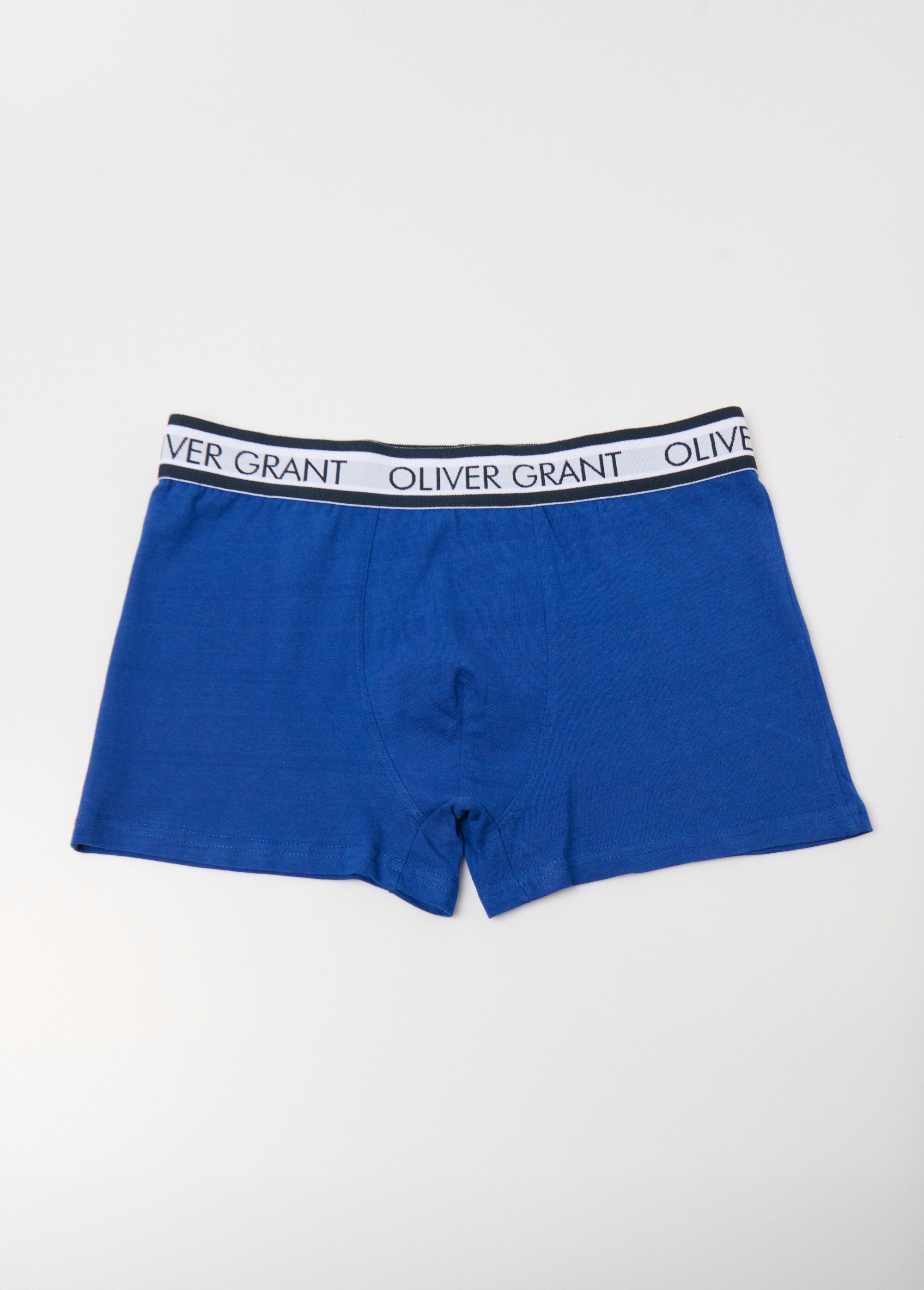 Effen_boxershort_met_tailleband_met_logo_Bleu_FA1_slim