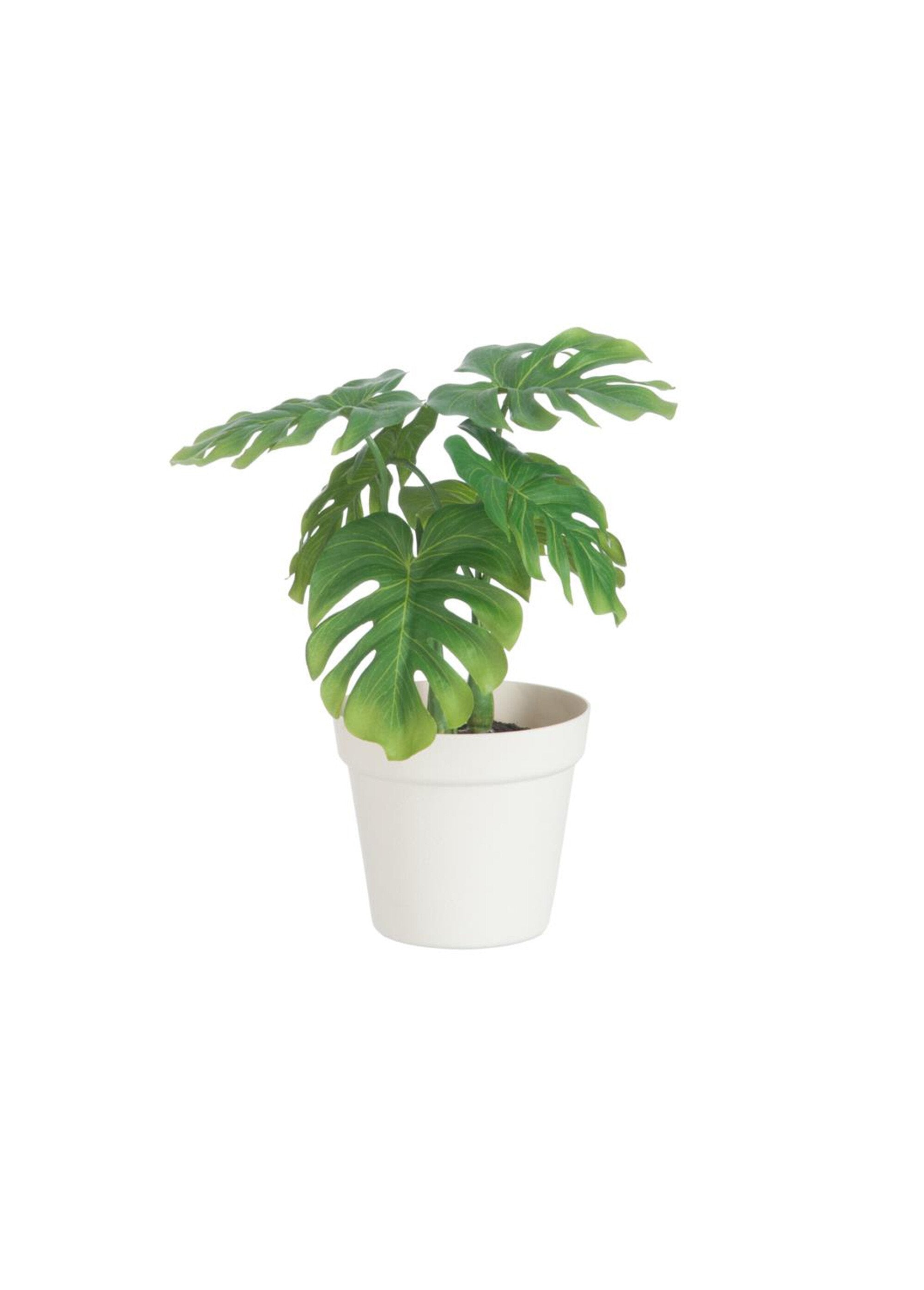 Groene_stoffen_plant_met_pot_Vert_FA1_slim