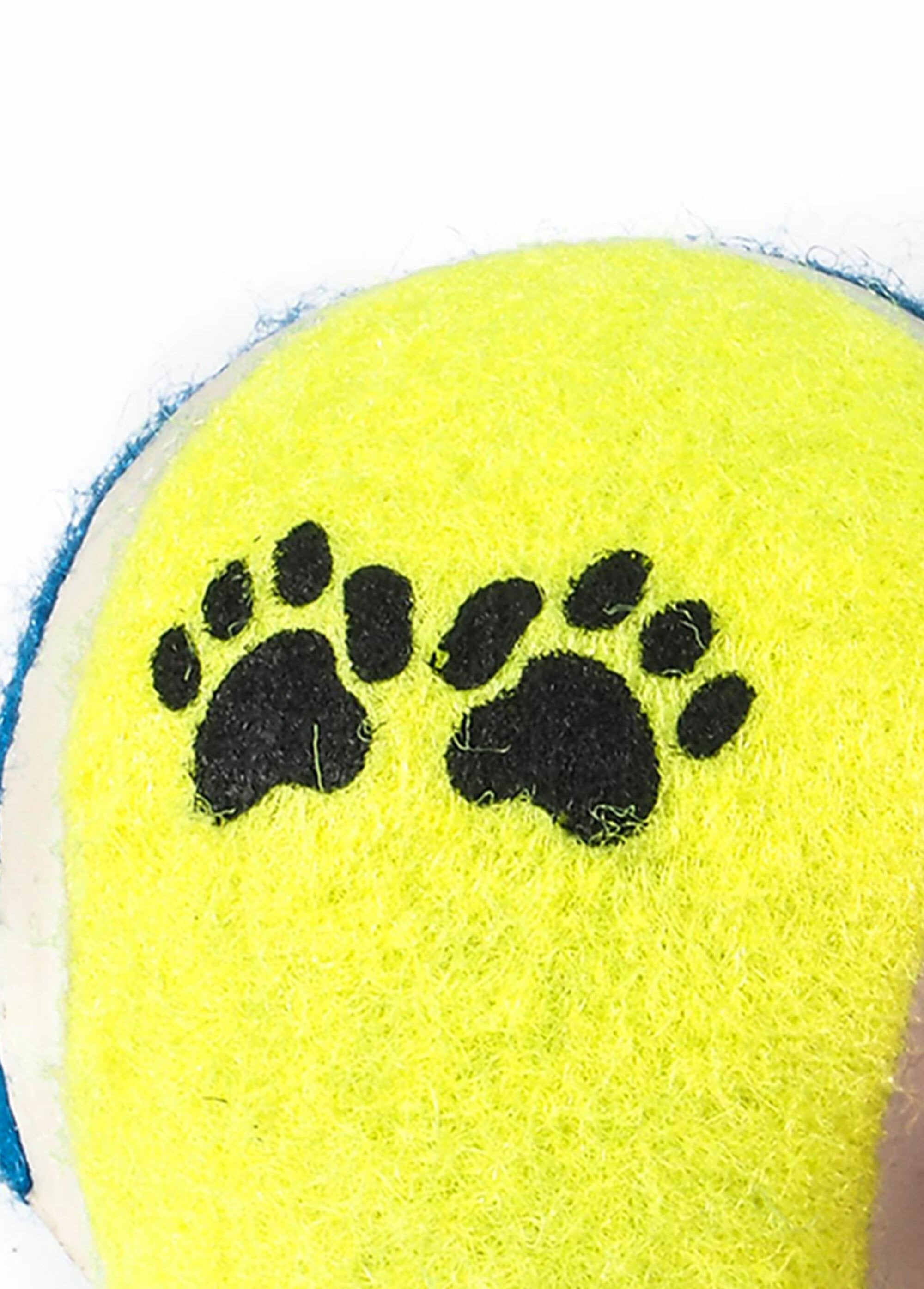 Set_van_3_tennisballen_voor_honden_Jaune_DE1_slim