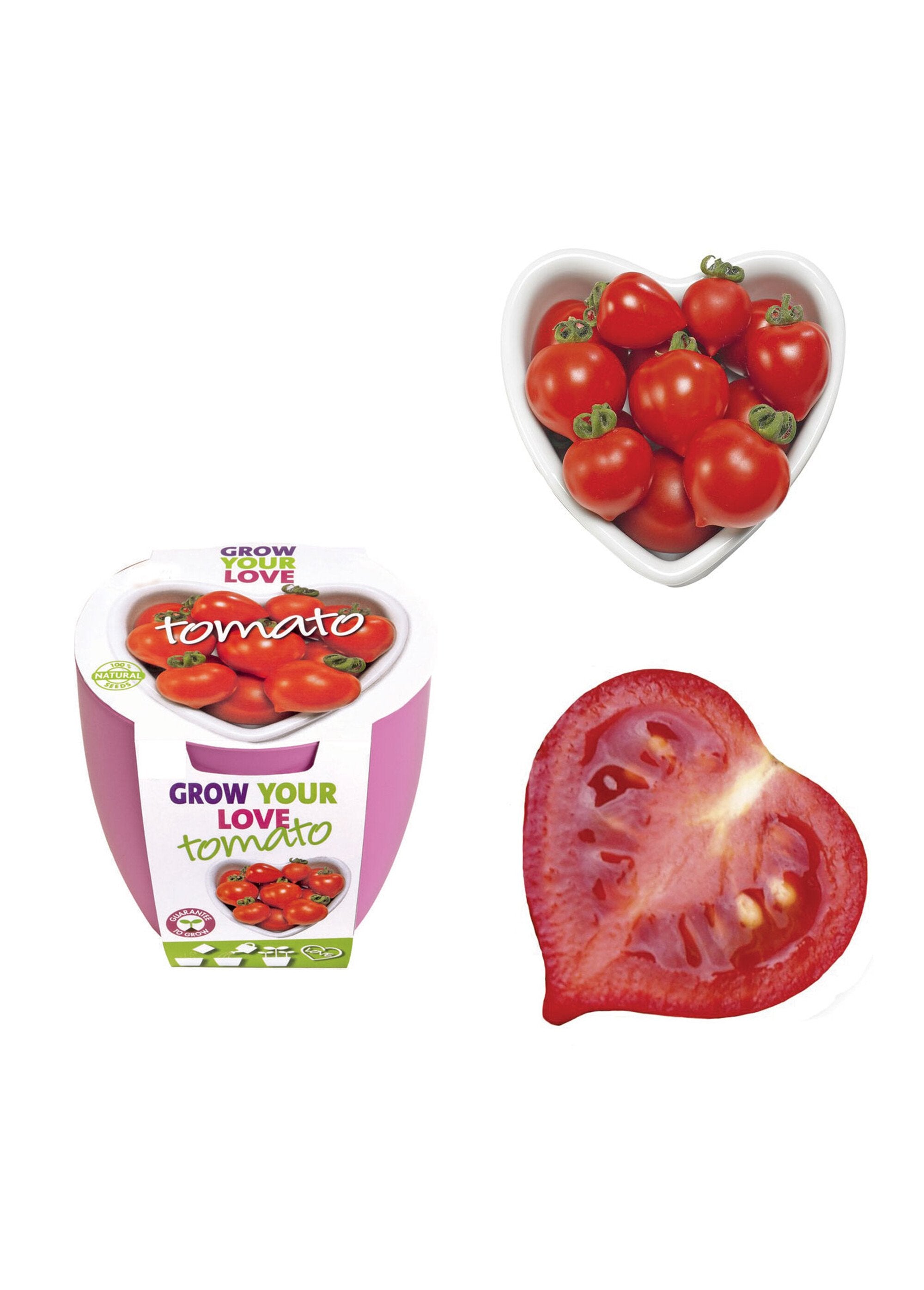 Hartvormige_cherrytomaten_kweekset_Rouge_FA1_slim