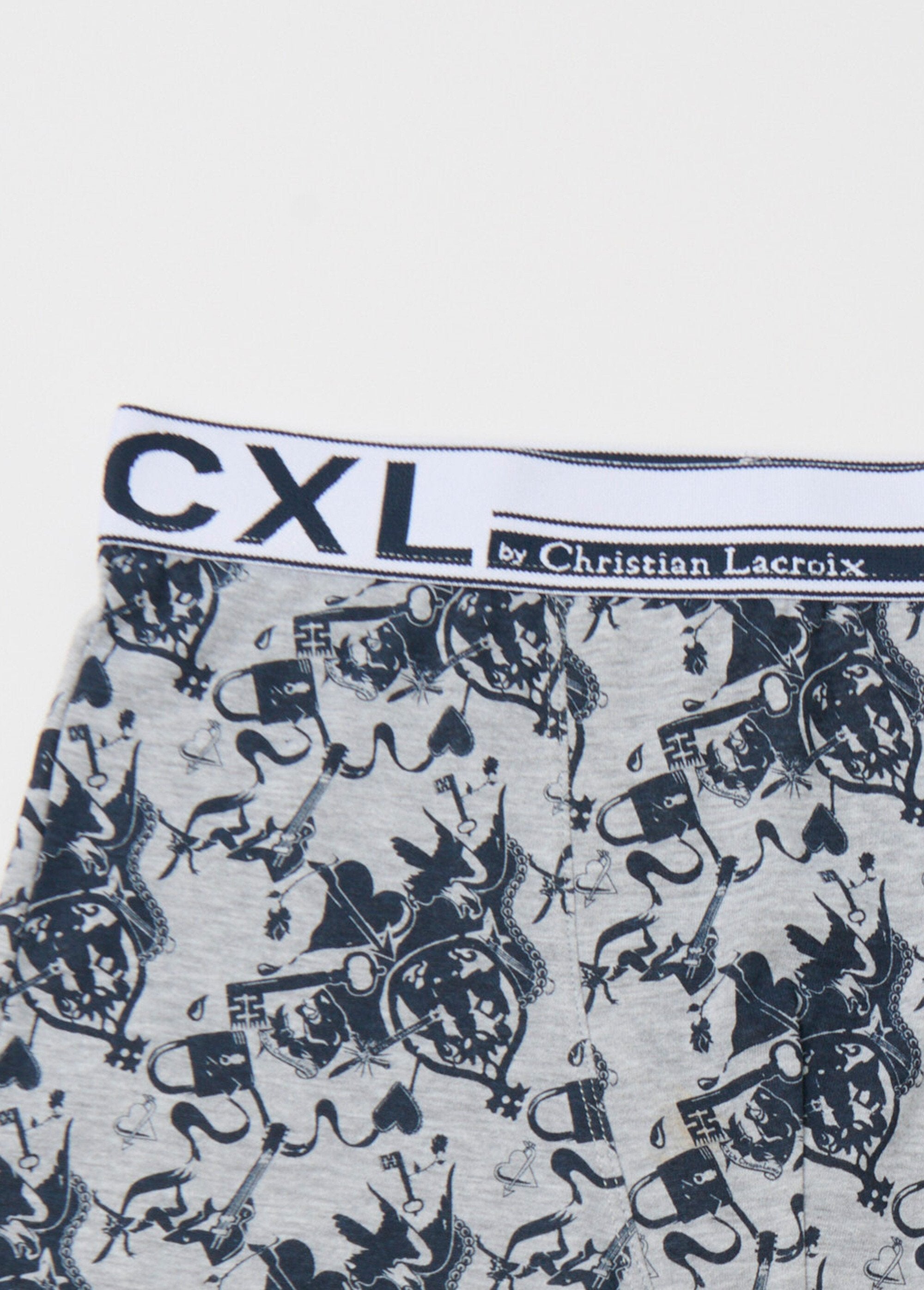 Set_van_4_boxershorts_met_logo-opdruk_Imprime_bleu_DE1_slim