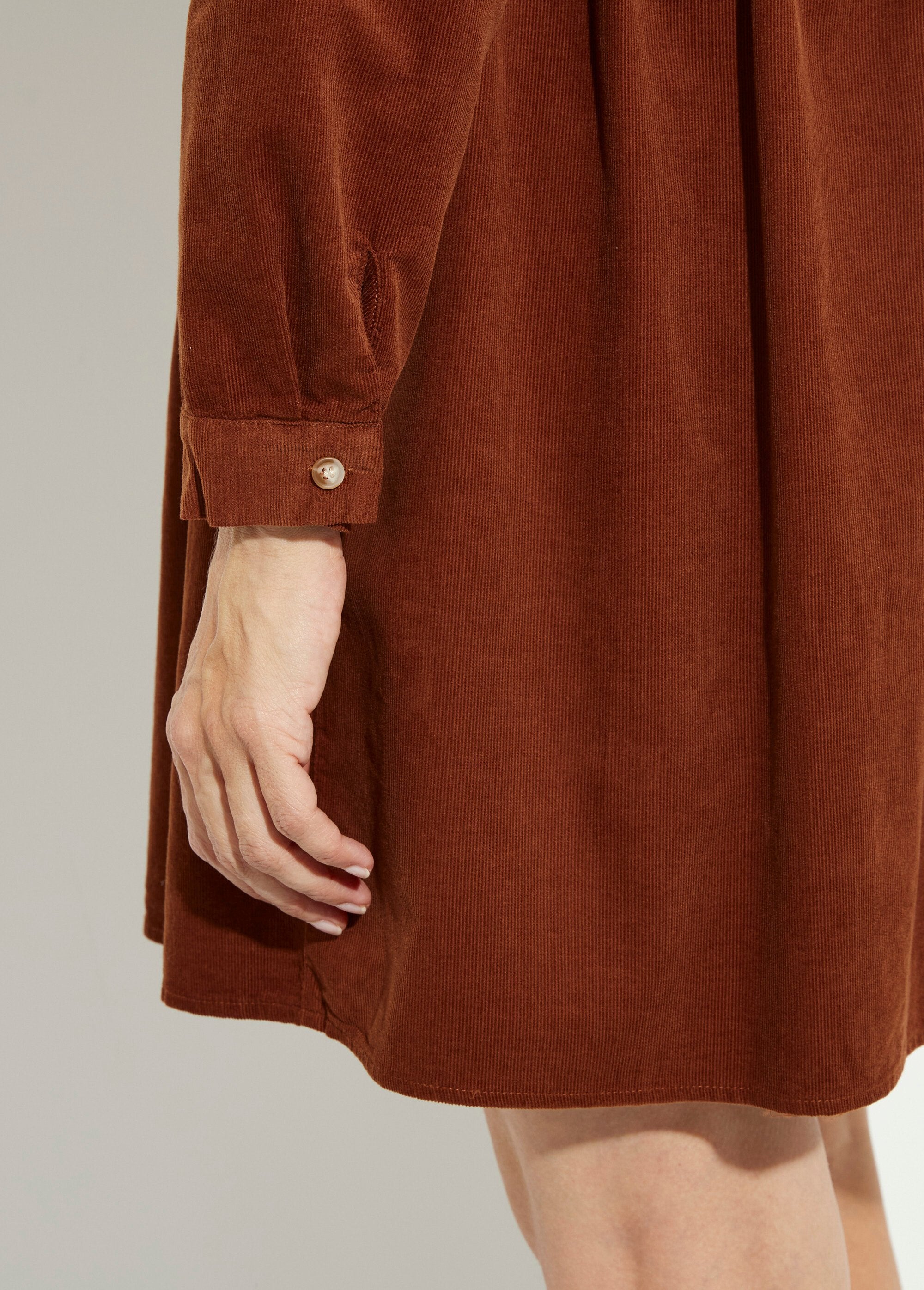 Fluwelen_blousejurk_met_geplooide_taille_Marron_DE2_slim