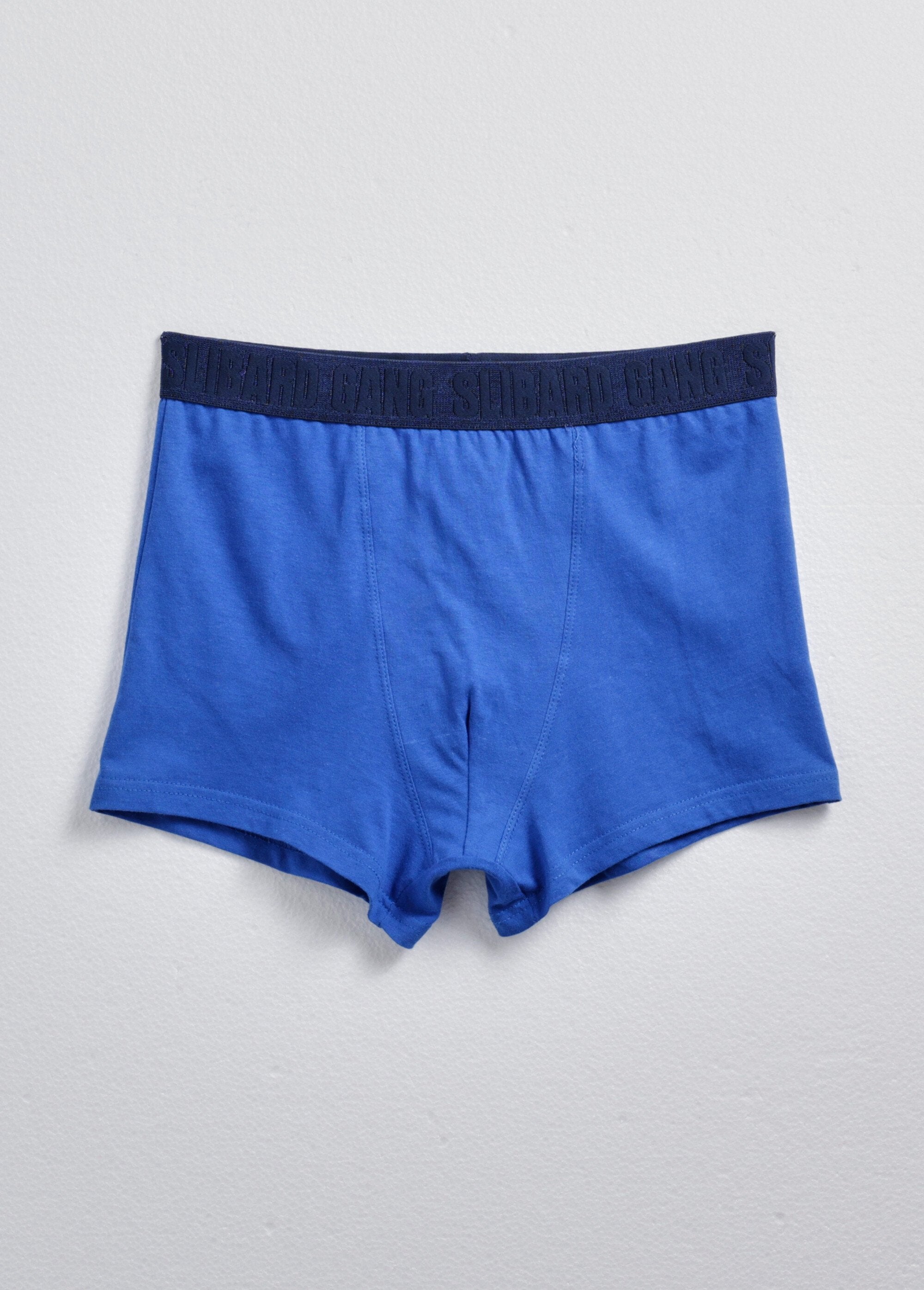 Assortiment_boxershorts_voor_heren_met_effen_en_bedrukte_print_Assortis_bleu_DE1_slim